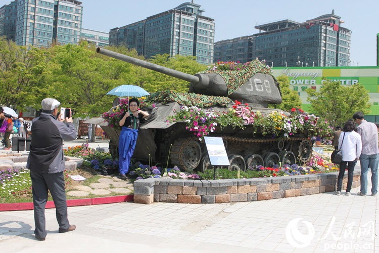 韓國高陽舉辦國際花卉博覽會 億朵鮮花齊聚盛宴