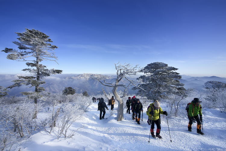 韓國江原道冬季旅行推薦【高清組圖】