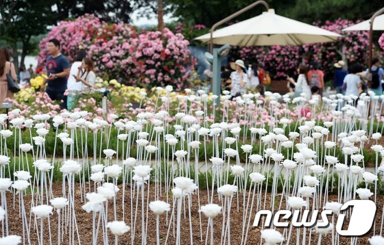 首爾大公園舉辦玫瑰節慶典 顯忠日假期感受玫瑰浪漫情懷【組圖】