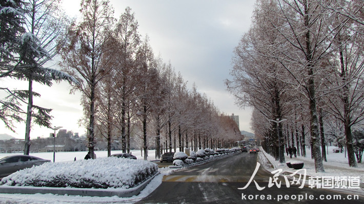 韓國全南大學冬季校園一景（攝影：彭巾妮）