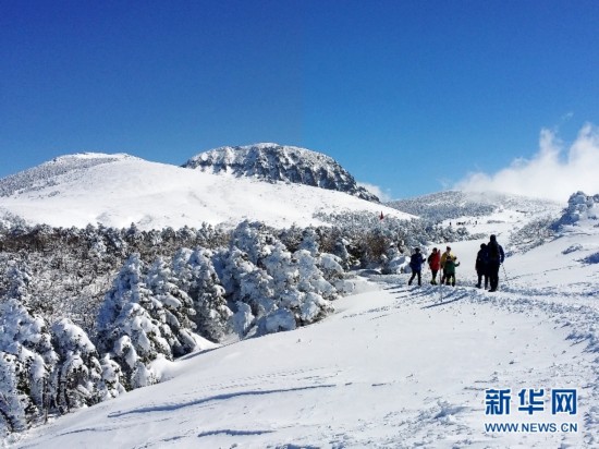 2月15日，登山者攀登韓國漢拿山御里牧線的四燕小山。新華社記者彭茜攝。